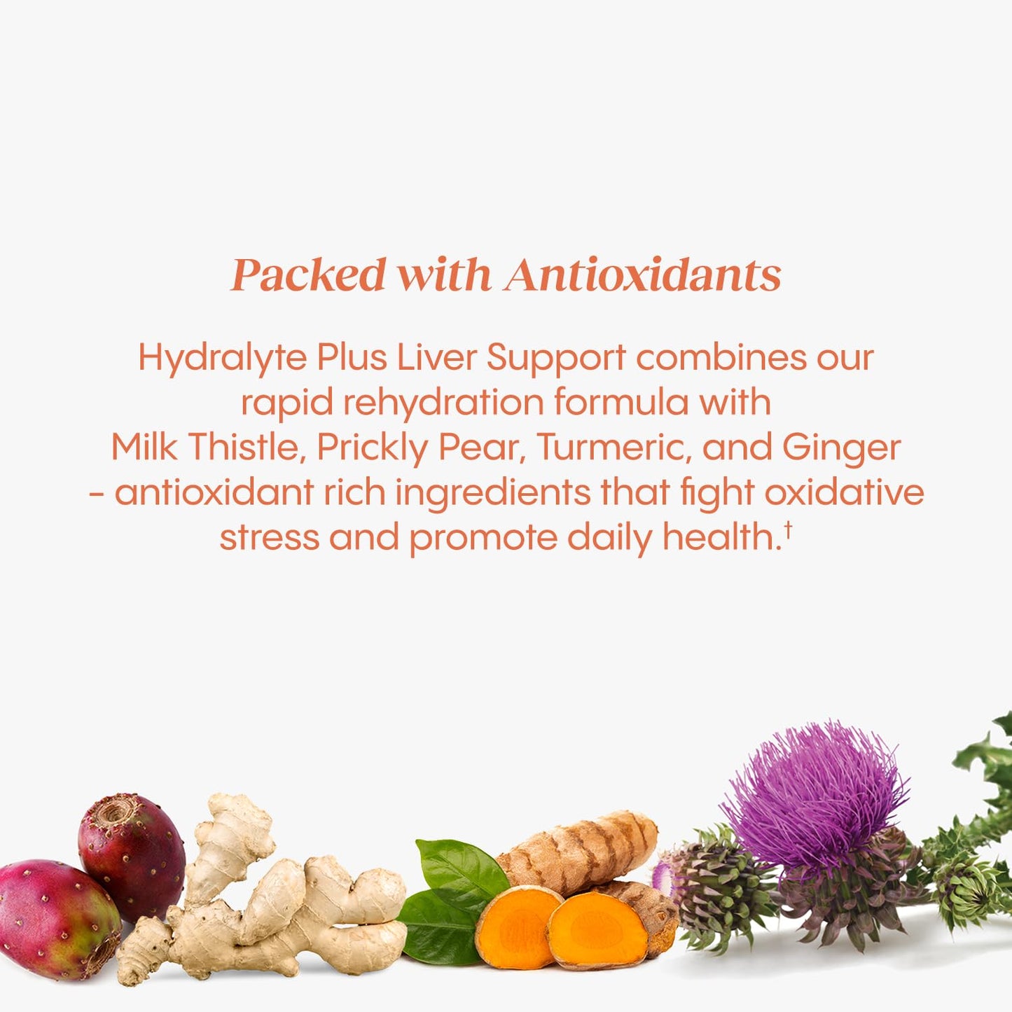 Hydralyte Liver Support + Electrolyte Mix – Milk Thistle, Turmeric & Ginger (Blood Orange Ginger, 40 Serves)