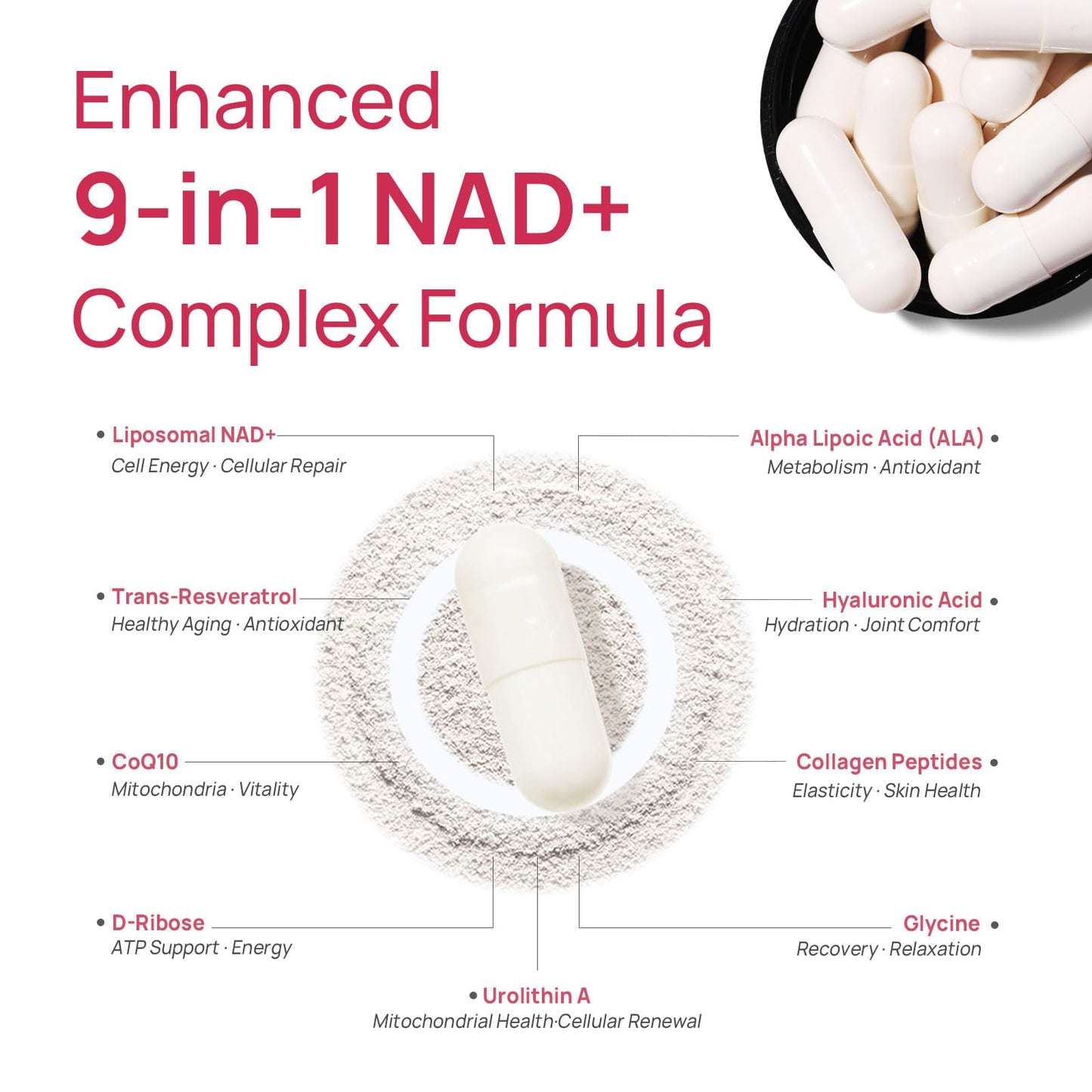 NAD+ Supplement for Women – β-NAD+ NMN Alternative with Trans-Resveratrol, CoQ10, D-Ribose | 60 Capsules Advanced
