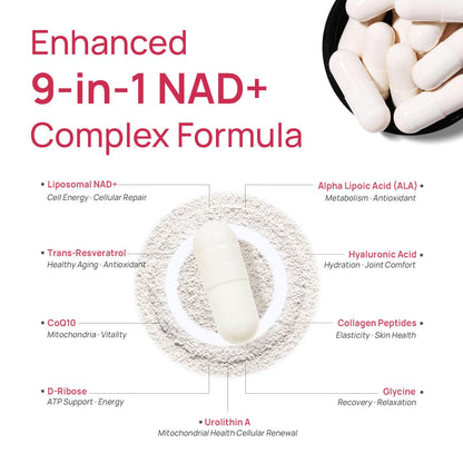 NAD+ Supplement for Women – β-NAD+ NMN Alternative with Trans-Resveratrol, CoQ10, D-Ribose | 60 Capsules Advanced