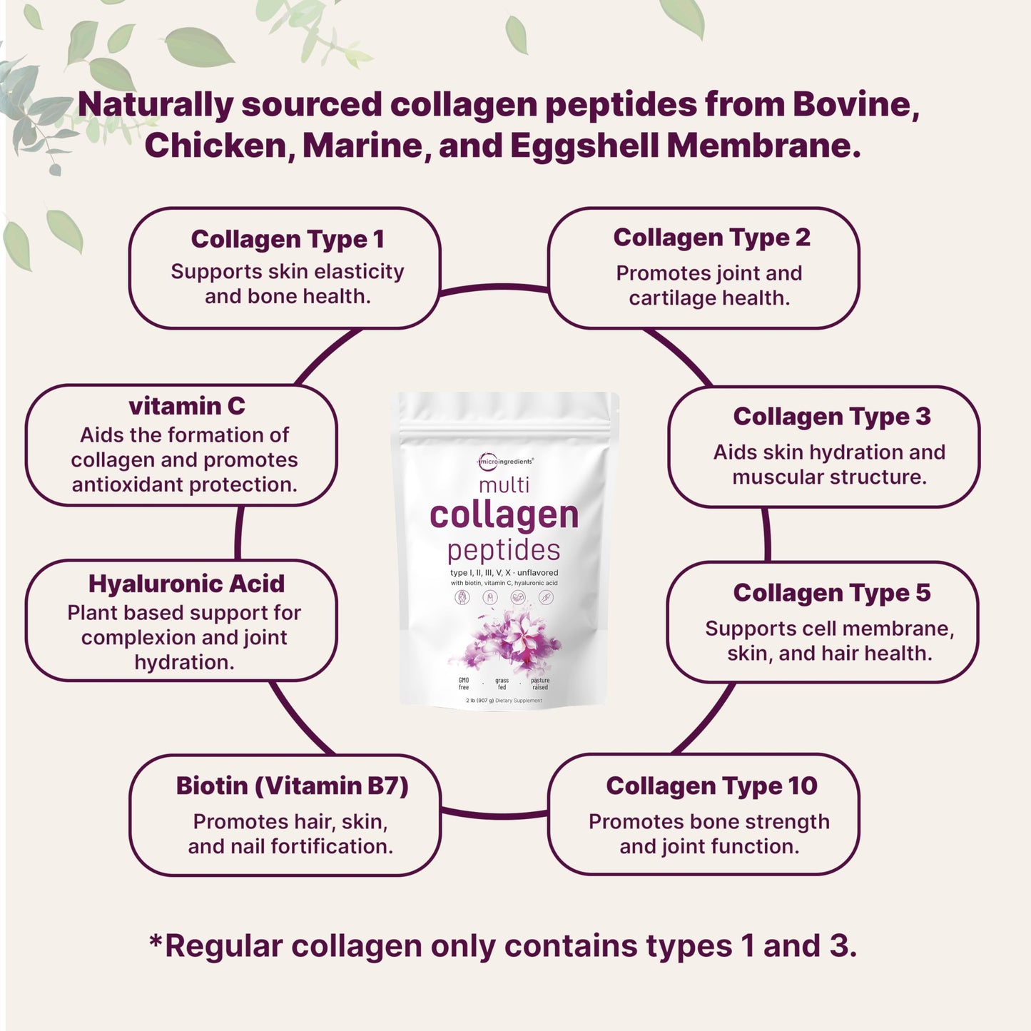 Micro Ingredients Multi Collagen Peptides Powder 2lb – Full Spectrum Types I, II, III, V, X + Hyaluronic Acid, Biotin & Vitamin C | Unflavored | Keto & Paleo | Non-GMO