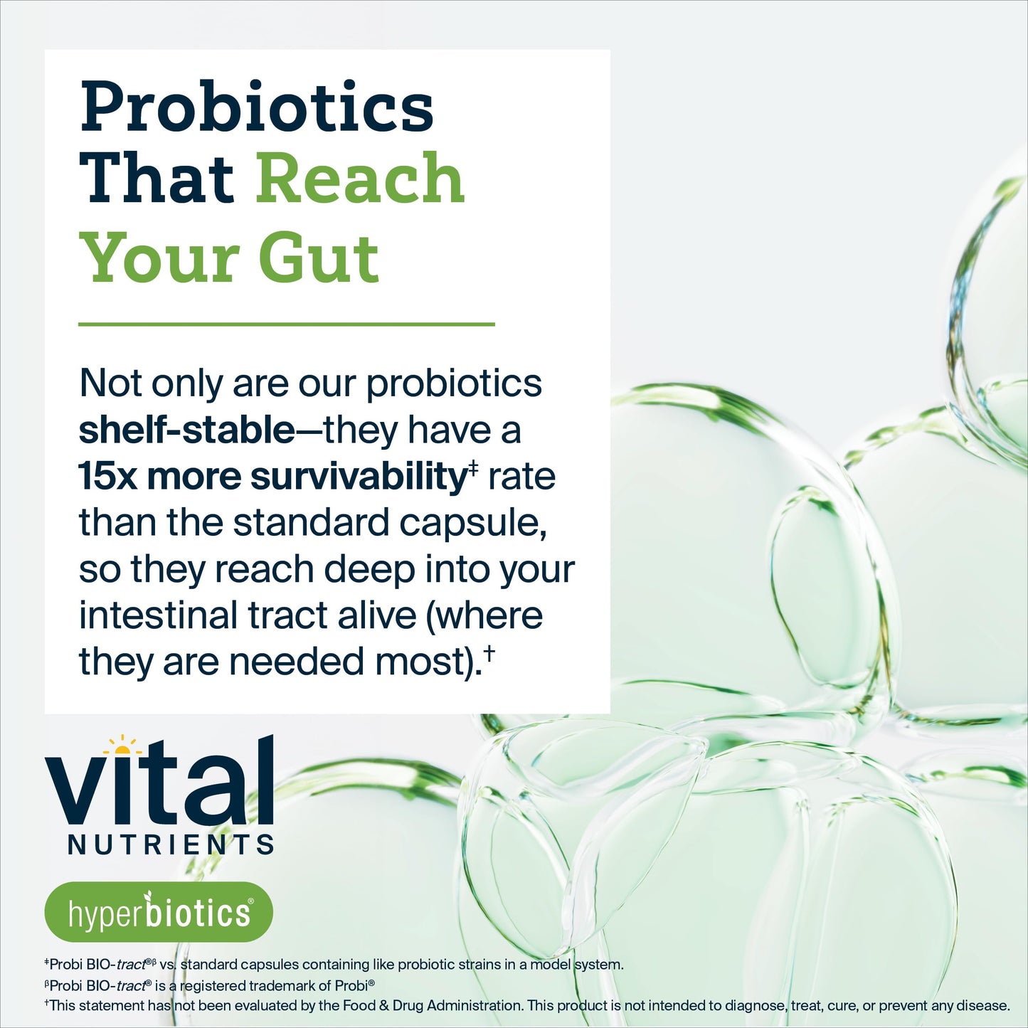 Hyperbiotics Vital Nutrients Bifidobacterium Probiotic | 7 Targeted Strains | Supports Immune and Digestive Health for Older Adults | Shelf-Stable | Vegan | 60 Tablets