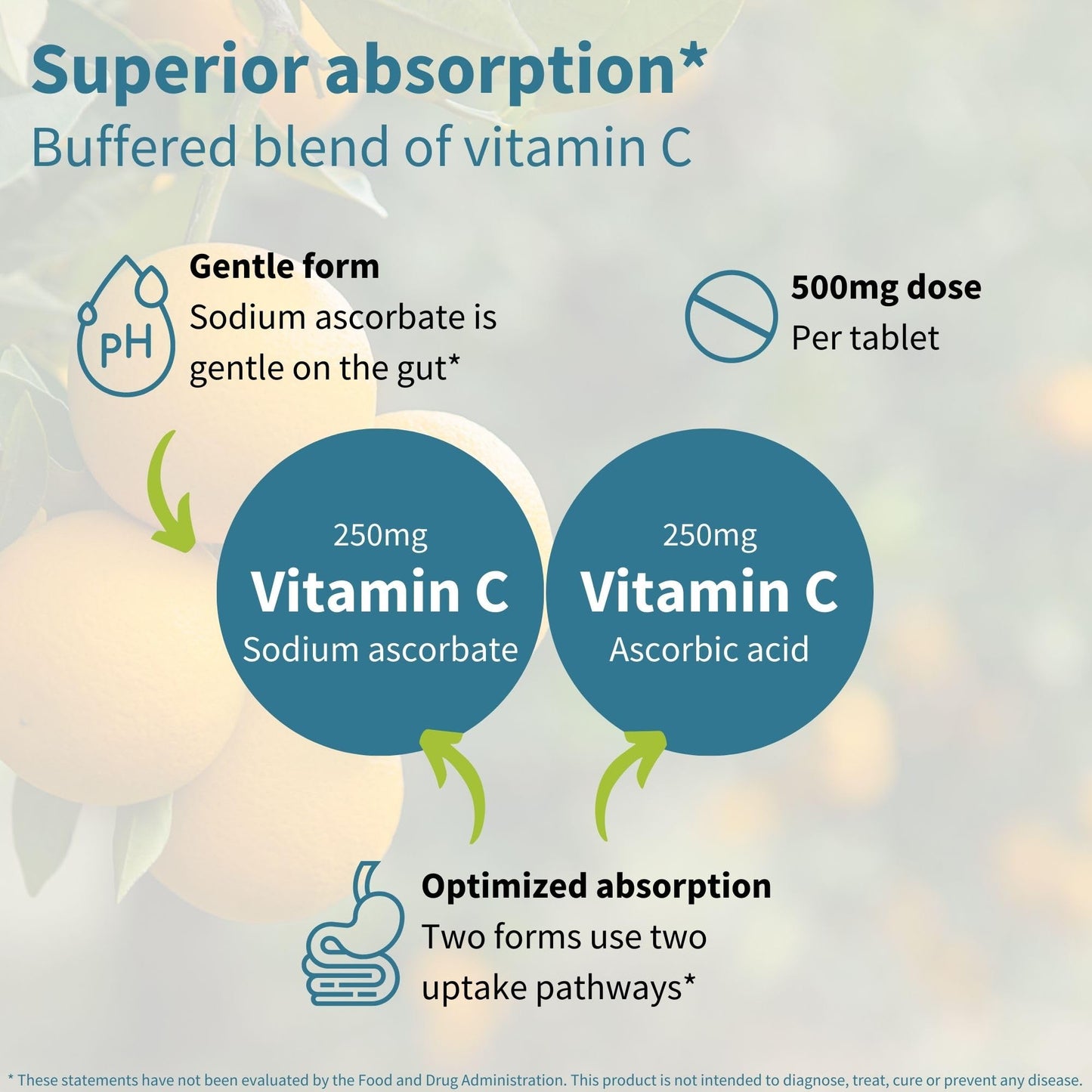 Igennus Gentle Buffered Vitamin C Chewable 500mg — Kids & Adults | Dual-Form Absorption | Sugar-Free Orange & Lemon