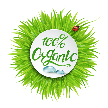 Queen Bee 100% Organic Body and Face Wash Gel
