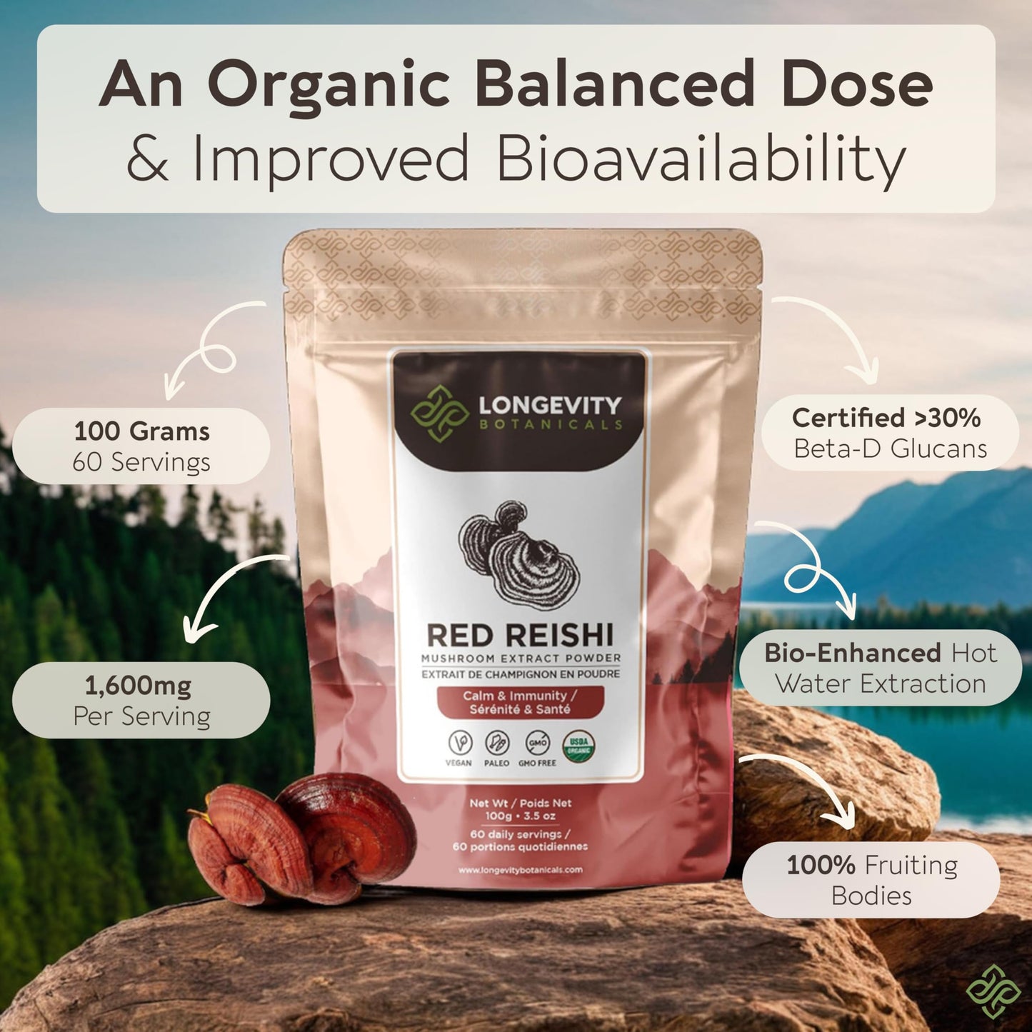 Longevity Botanicals Organic Reishi Extract Powder 100g | 10:1 Concentrate | 100% Fruiting Bodies