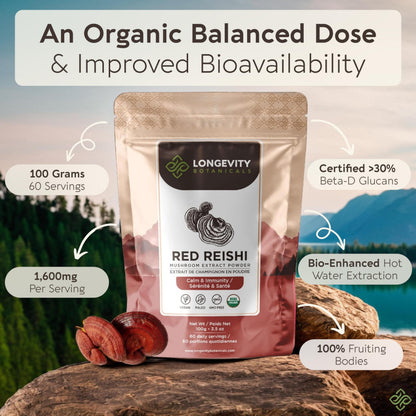 Longevity Botanicals Organic Reishi Extract Powder 100g | 10:1 Concentrate | 100% Fruiting Bodies