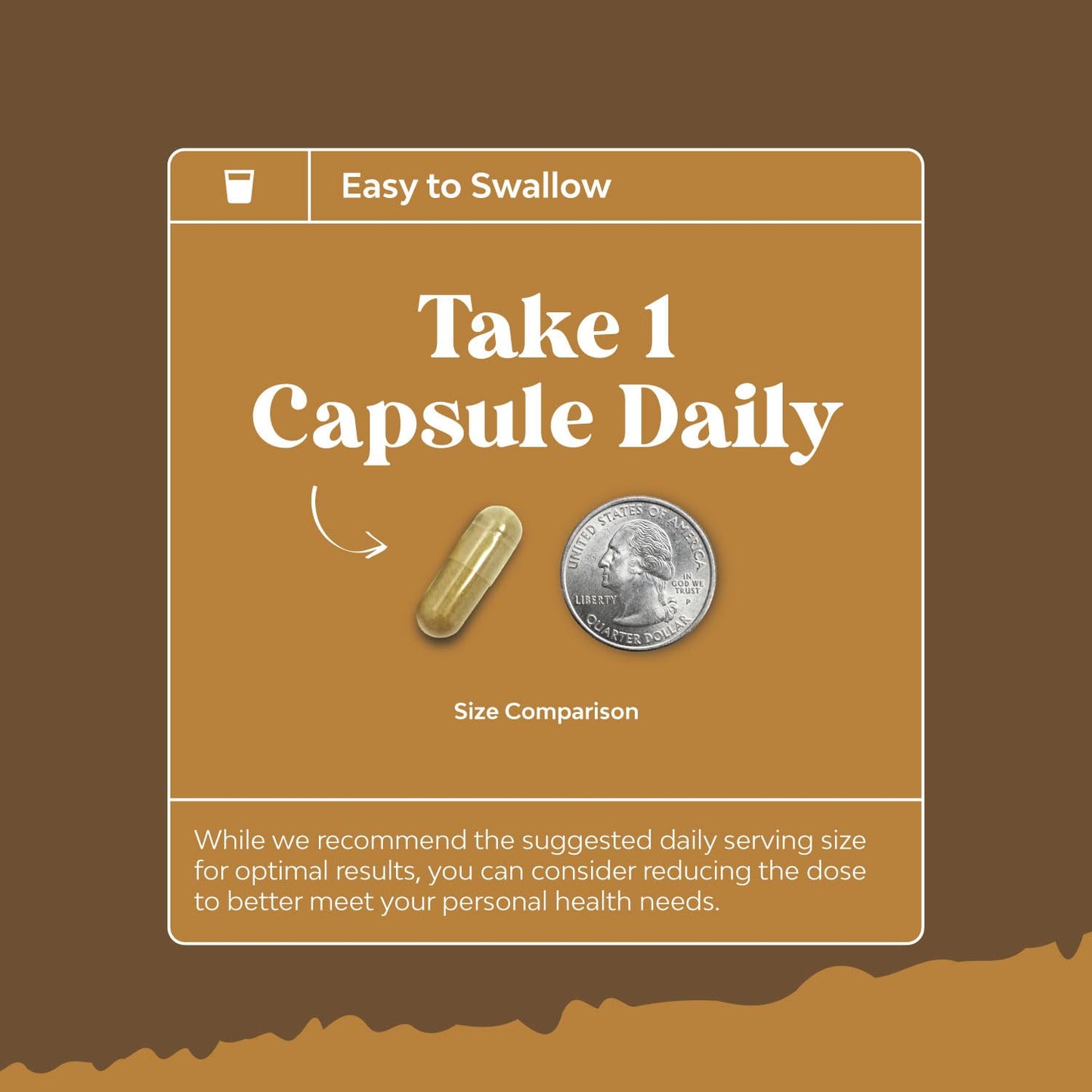 Advanced Lion's Mane Mushroom Supplement - Brain Health & Focus - 120 Caps
