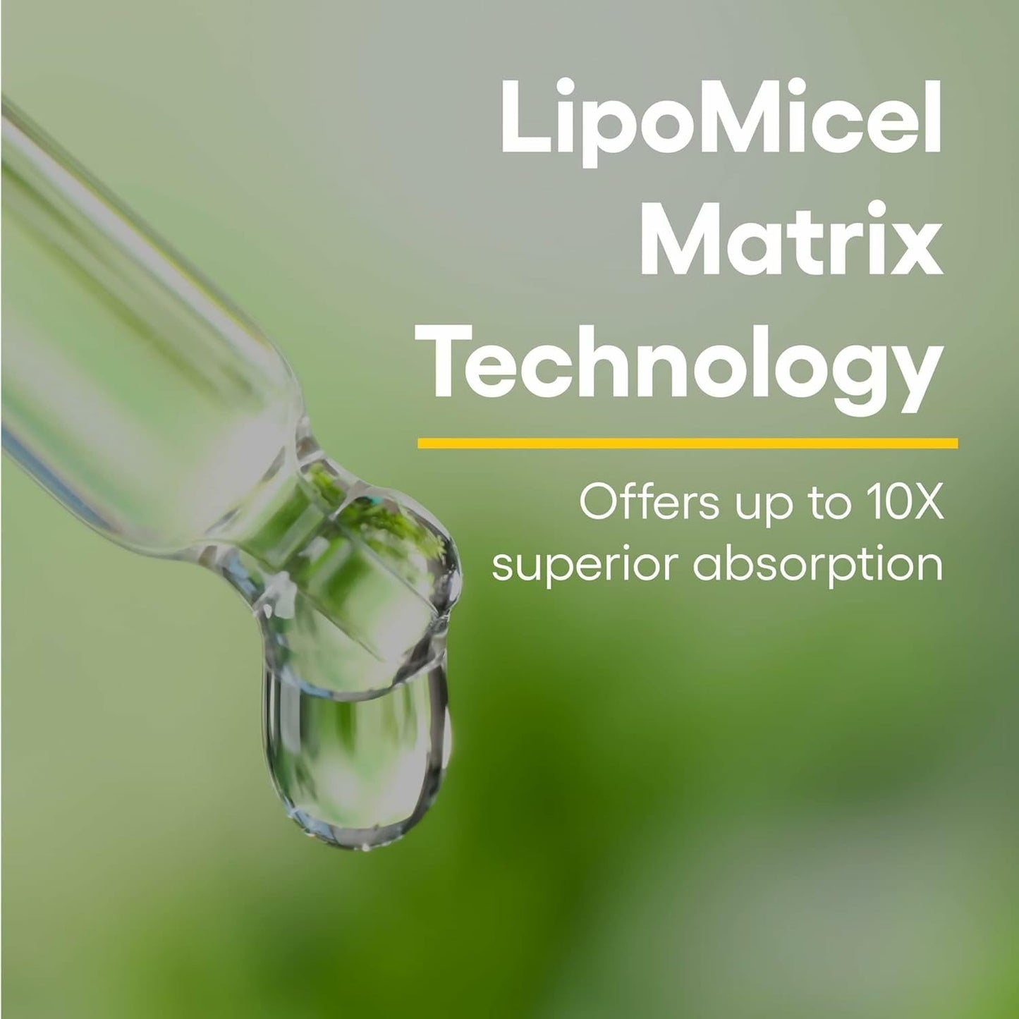 Natural Factors Quercetin Lipomicel Matrix — Immune & Capillary Support