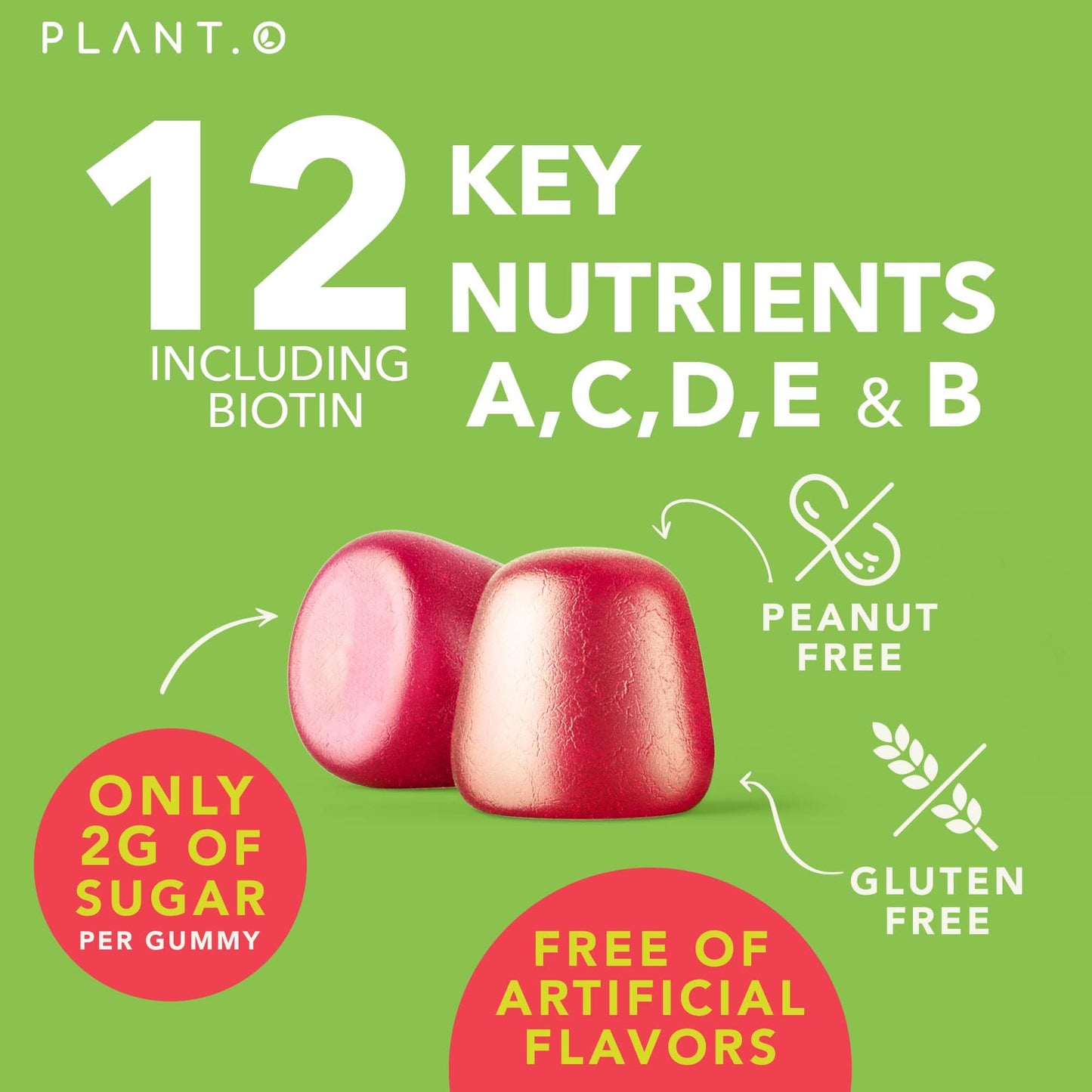 Complete Multivitamin Gummies for Adults - Energy & Immunity - Gluten Free Veggie (90-count)