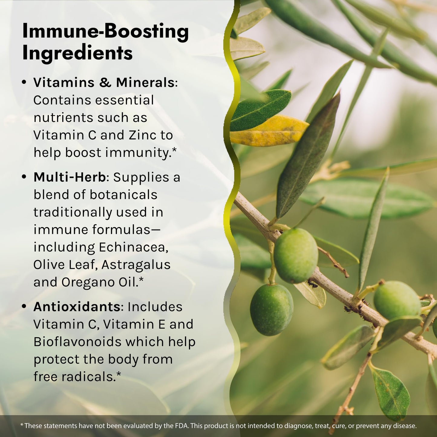 Irwin Naturals Immuno-Shield – 100 Liquid Softgels (Pack of 2) | All-Season Immune Support