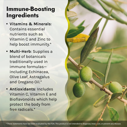 Irwin Naturals Immuno-Shield – 100 Liquid Softgels (Pack of 2) | All-Season Immune Support