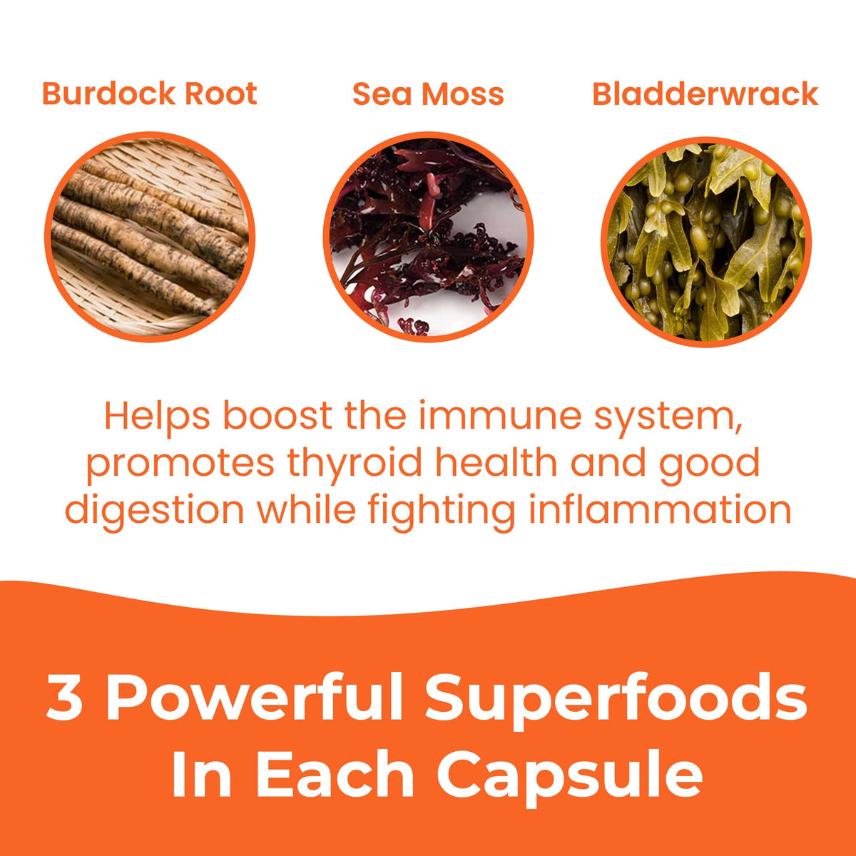 INFINITE AGE 3-Pack Sea Moss Capsules 1250mg – 180 Vegan Capsules Each, Made in USA
