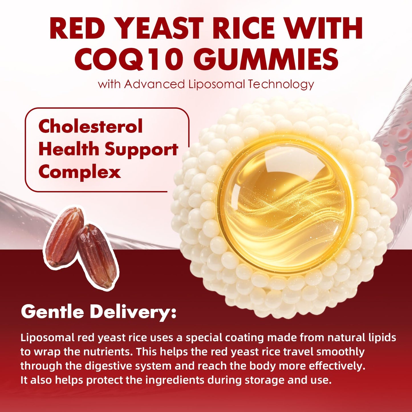 2 Pack Red Yeast Rice with CoQ10 Gummies - Sugar Free Raspberry Flavor, 120 Count