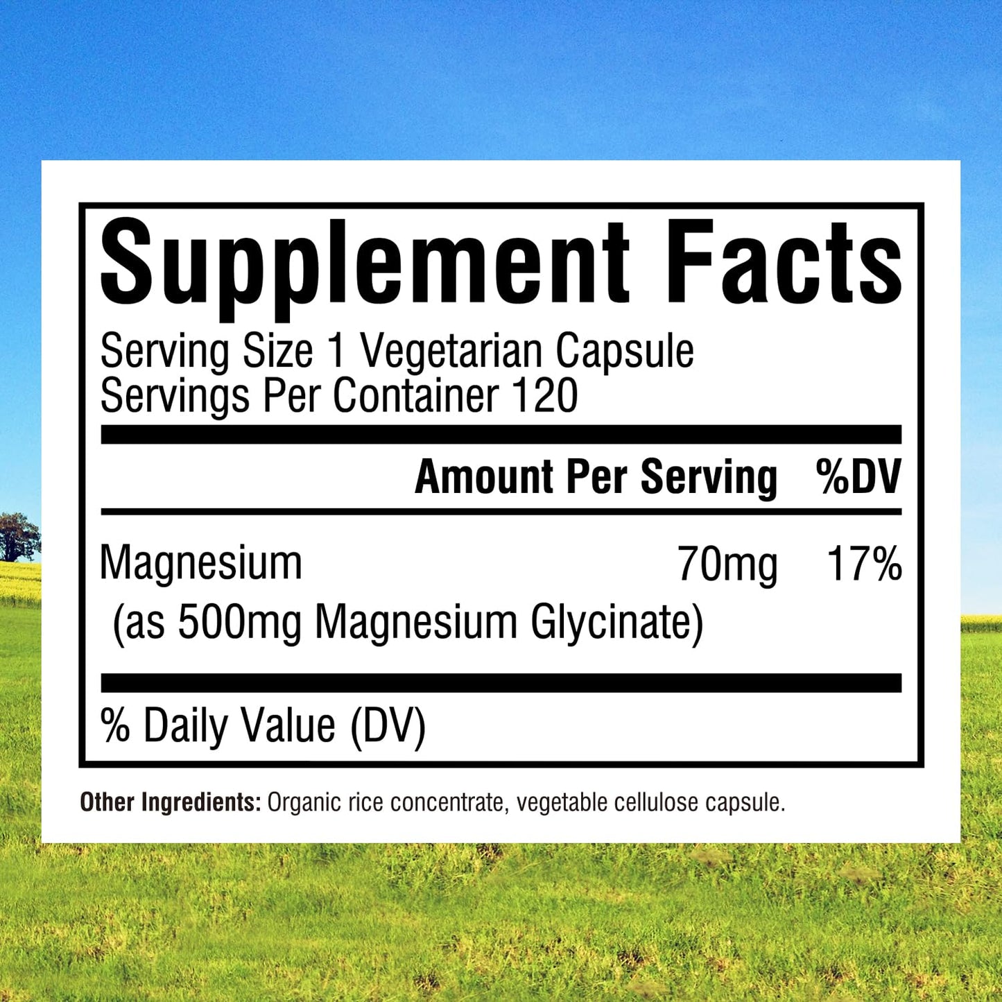Innate Vitality Magnesium Glycinate 500mg – 70mg Elemental Magnesium, High Absorption | Non-GMO, Gluten-Free | Supports Nerve, Heart & Bone Health | 240 Vegan Capsules