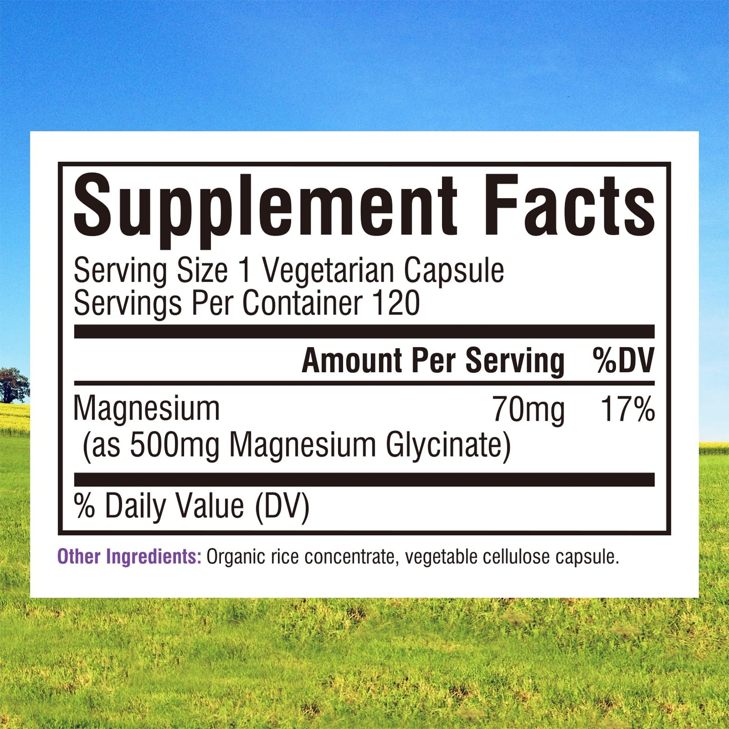 Innate Vitality Magnesium Glycinate 500mg | 70mg Elemental Mg | High Absorption | 120 Vegan Capsules