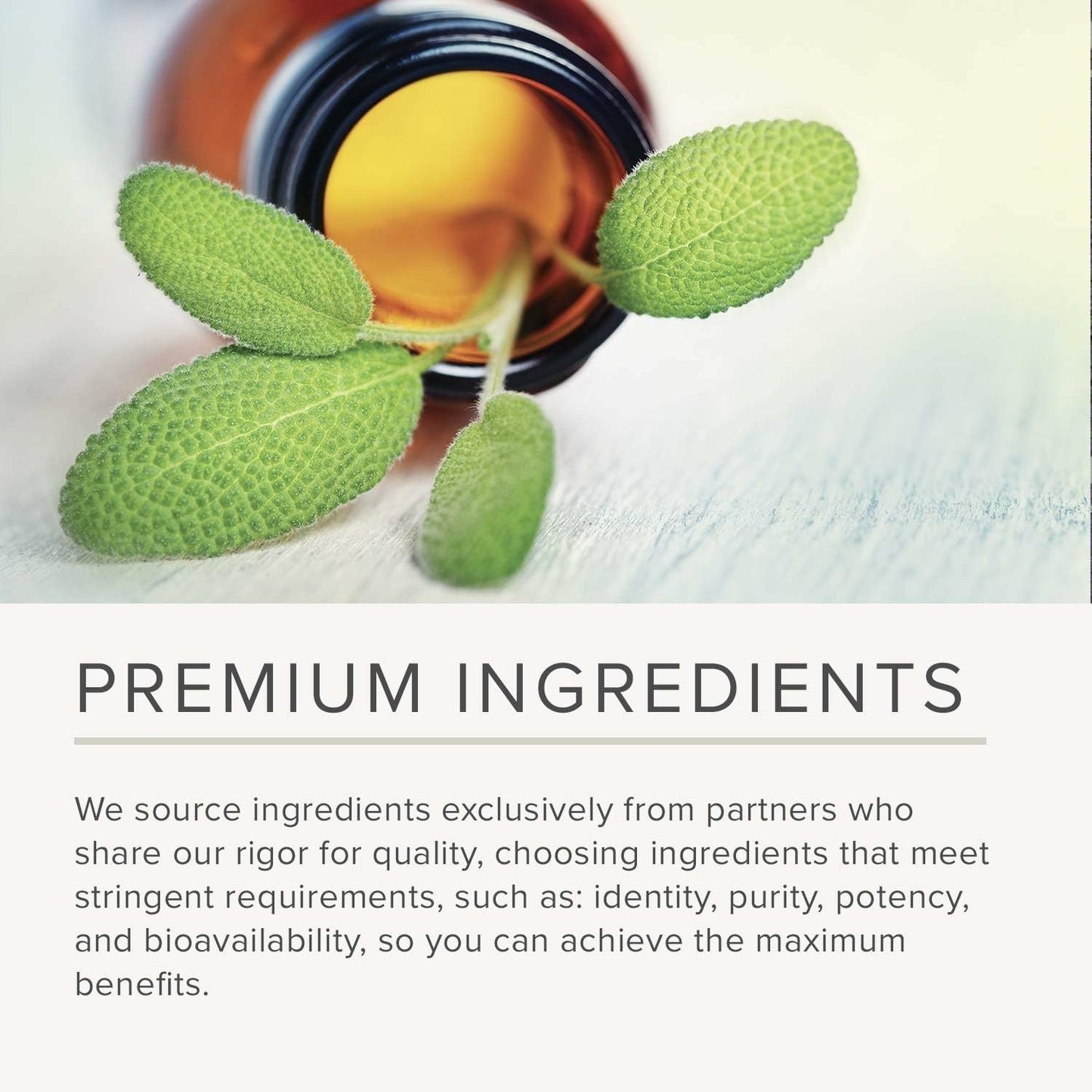 Integrative Therapeutics Fiber Formula – Colon Support, Digestive Health (Dairy-Free & Vegan) 120 Capsules