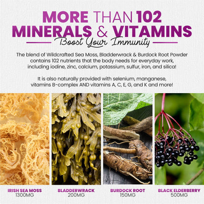 Irish Sea Moss Gummies with Elderberry & Black Seed Oil - 60 Gummies | Raspberry Flavor for Overall Wellness