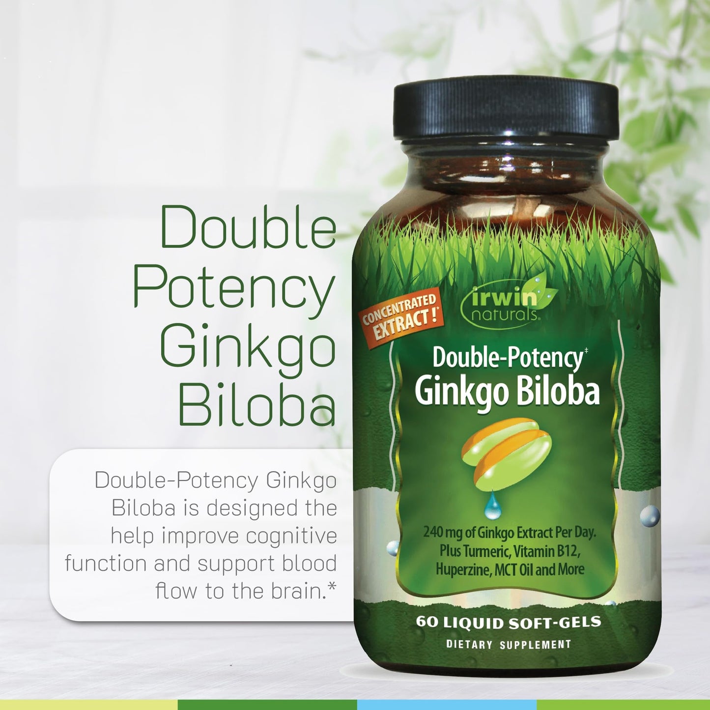 Irwin Naturals Ginkgo Biloba – Double-Potency 60 Liquid Soft-Gels (2 Pack) for Brain, Focus & Circulation