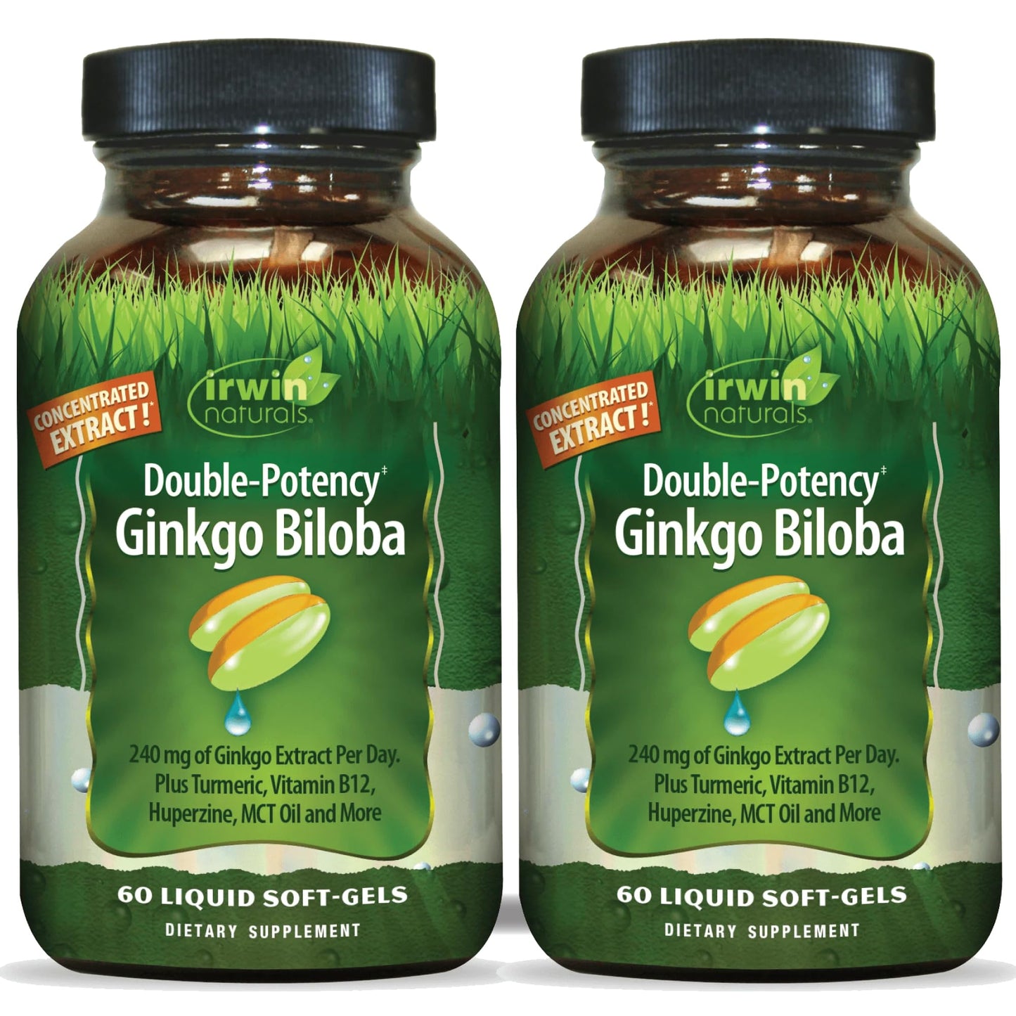 Irwin Naturals Ginkgo Biloba – Double-Potency 60 Liquid Soft-Gels (2 Pack) for Brain, Focus & Circulation