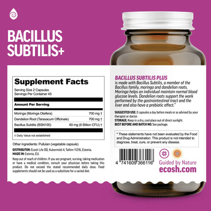 Bacillus Subtilis Spore Probiotic – 6B CFU, Prebiotic Support | 90 Veggie Capsules