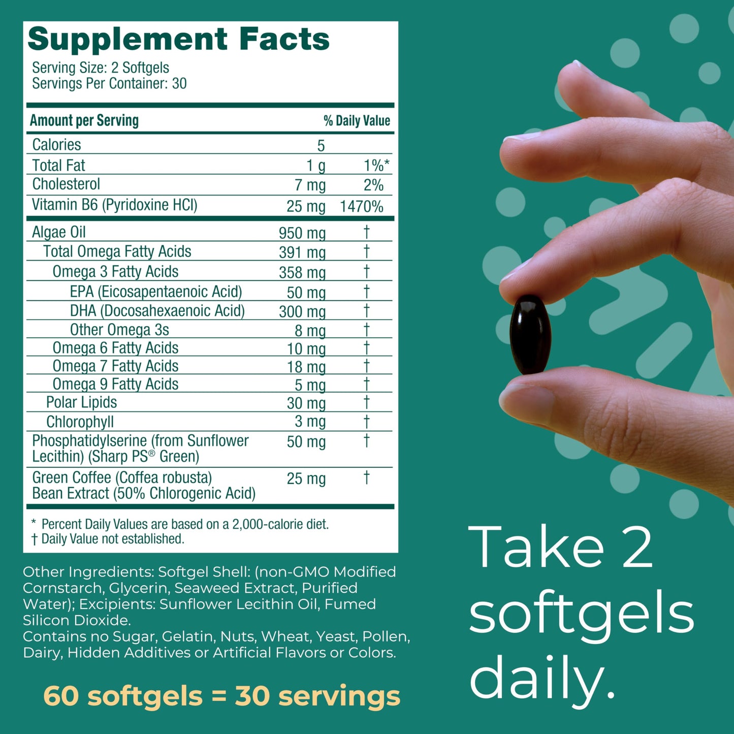 Iwi Life Brain Omega-3 – 60 Softgels, Vegan Algae EPA+DHA for Focus, Memory & Mood