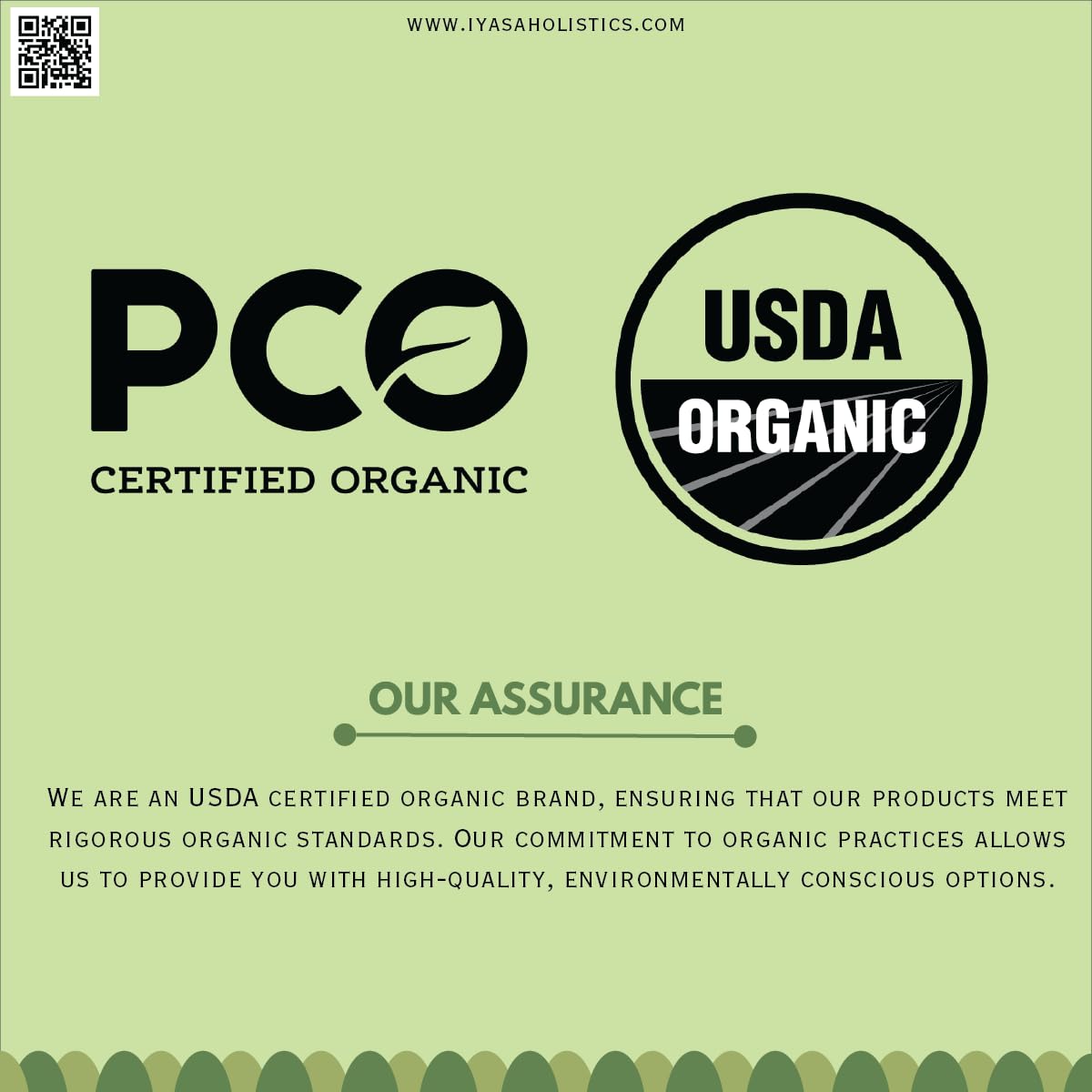 Iyasa Holistics Organic Licorice Root Powder (Mulethi) – Glycyrrhiza glabra, 16 oz