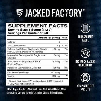 Jacked Factory Creatine + Electrolytes – Peach Mango (50 Servings) | Creatine Monohydrate with Taurine & Electrolytes