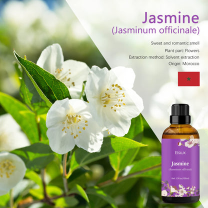 Jasmine Essential Oil 100ml | ESSLUX Aromatherapy