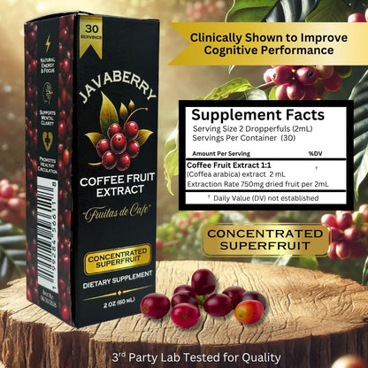Javaberry Coffee Fruit Extract – Nootropic Brain Support for Memory, Focus, & Energy – Natural Antioxidant Supplement Supporting Healthy NAD+ Function – 60ml (Liquid Drops)