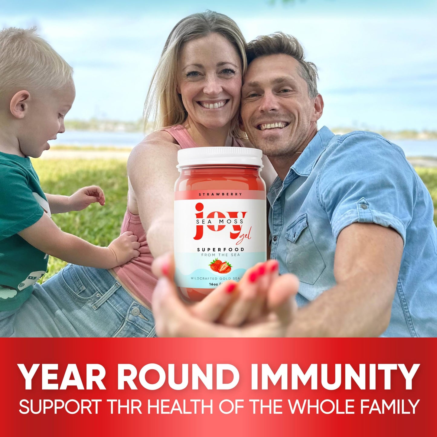 Joy Sea Moss Wildcrafted Irish Sea Moss Gel 16 oz Strawberry | Made in USA