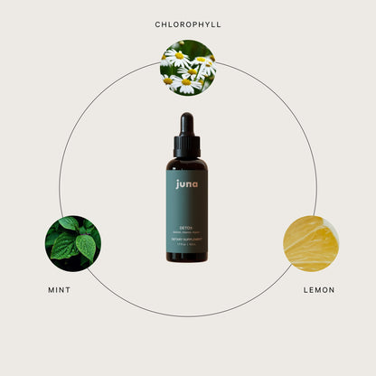 Juna Chlorophyll Liquid Drops – 3X Potency Detox, Energy & Internal Deodorant (Mint-Lemon Flavor)