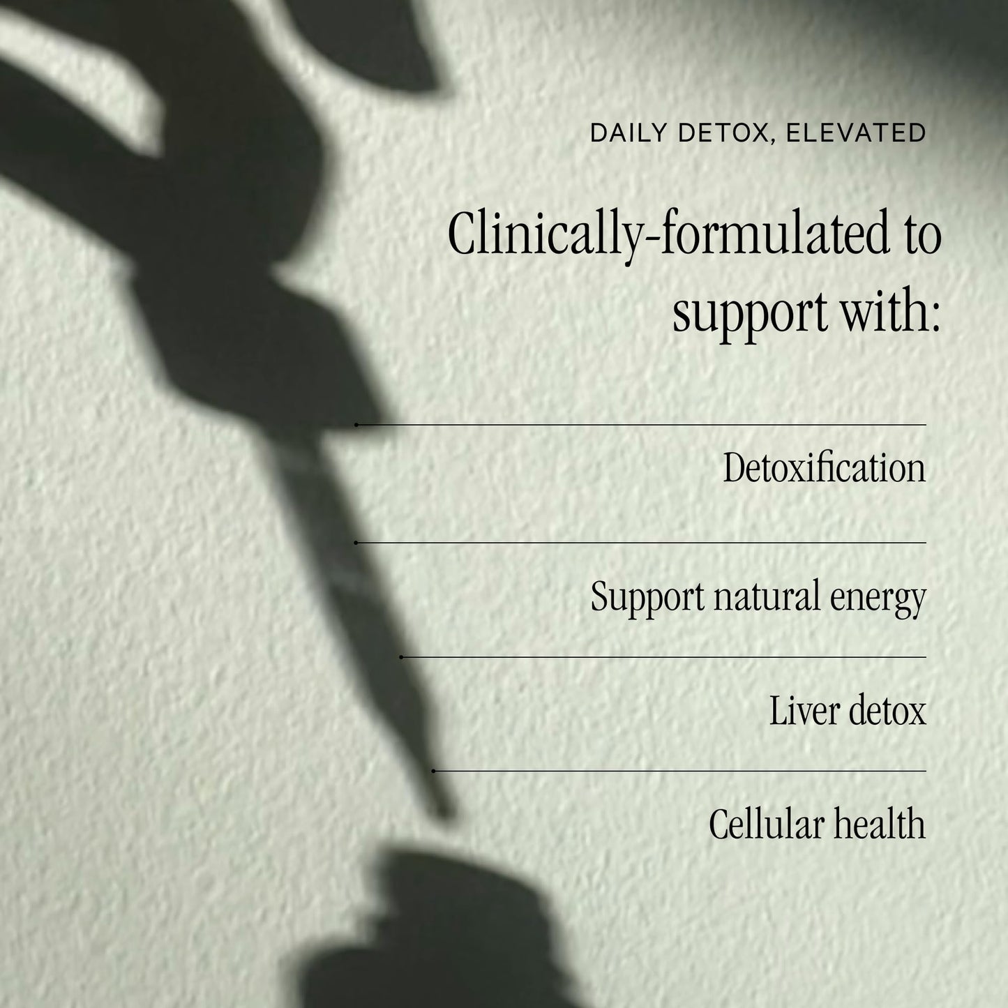 Juna Chlorophyll Liquid Drops (2-Pack) – 3X Potency for Detox, Energy & Cellular Support