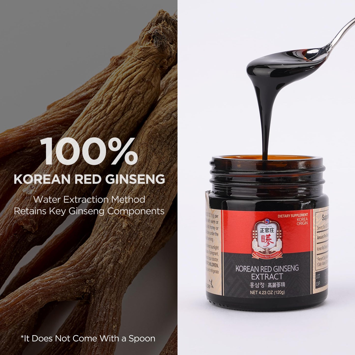 JUNG KWAN JANG Korean Red Panax Ginseng Concentrated Extract 50g | Immune Support & Focus
