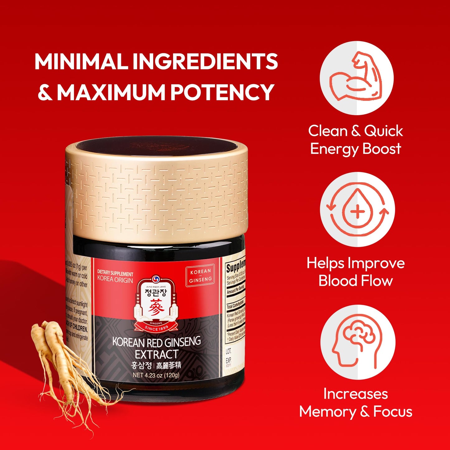 JUNG KWAN JANG US Korean Red Ginseng Extract Paste – Energy & Immune Support (120g)