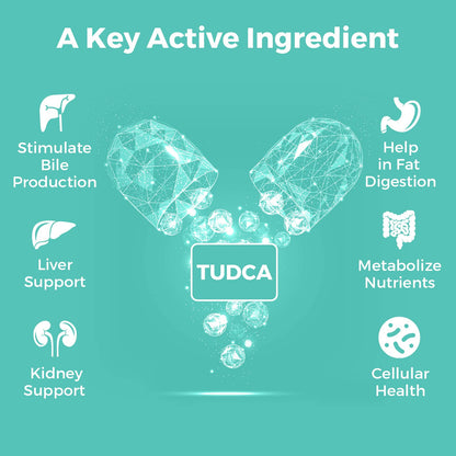 Kayseari TUDCA Bile Salts Supplement 1000mg – 180 Veggie Capsules for Liver Support