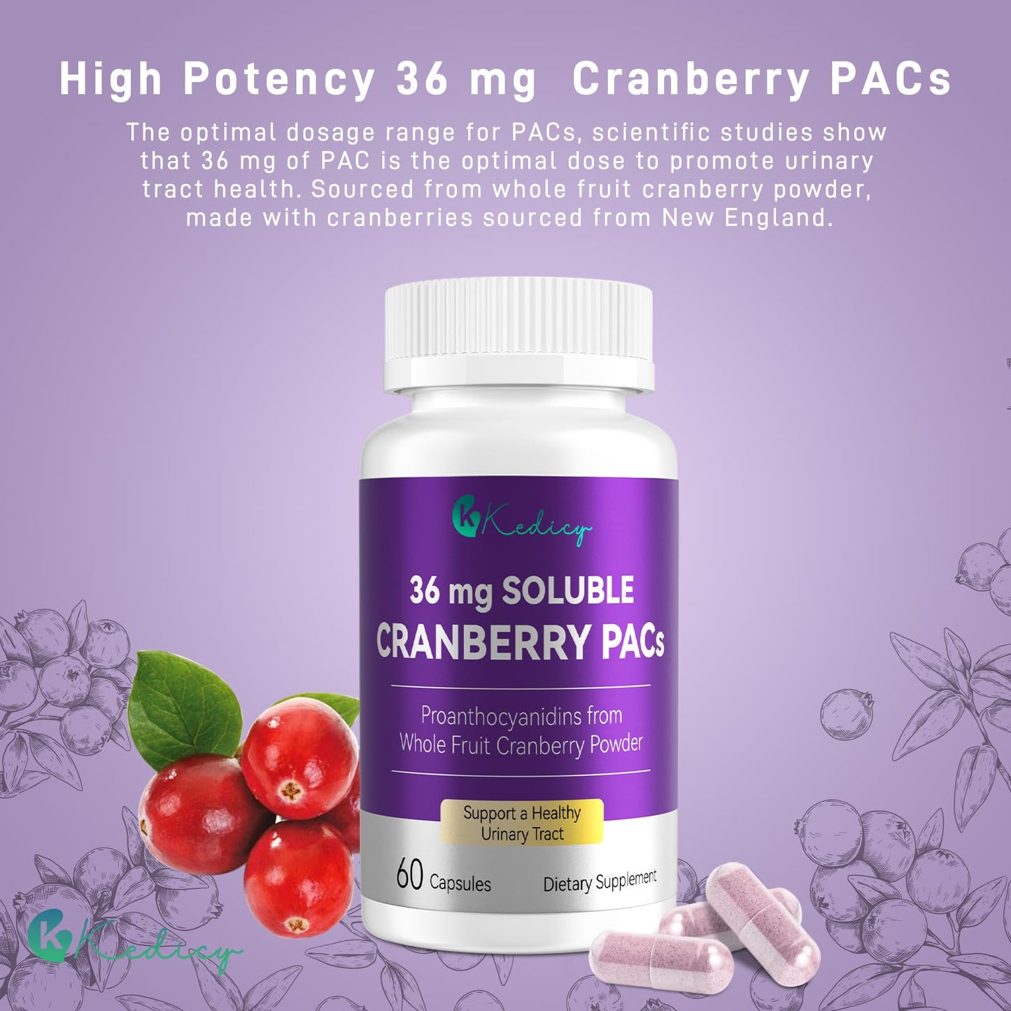Kedicy Cranberry Pills for Women – 36 mg Soluble PACs | UTI Defense | 60 Caps