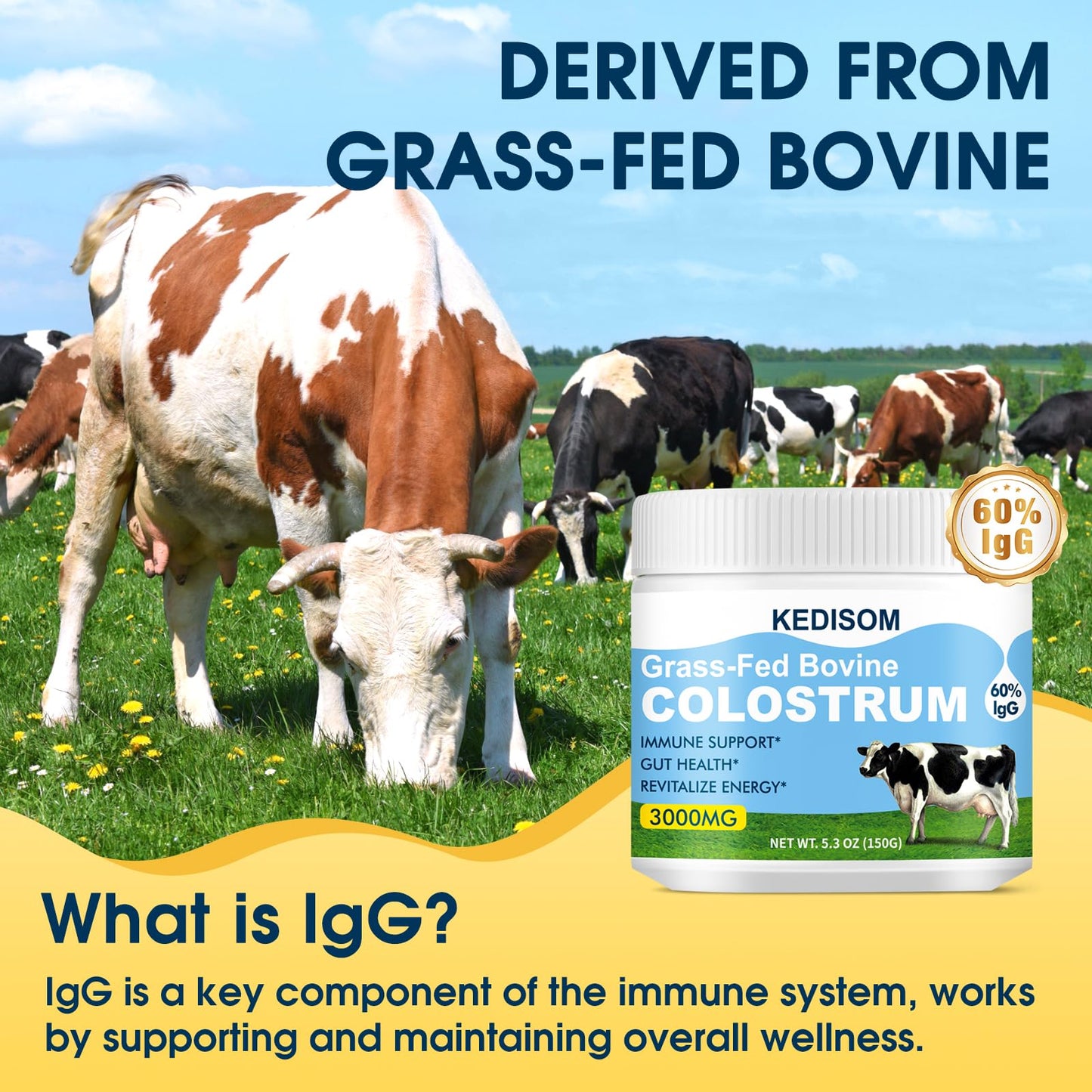 KEDISOM Grass-Fed Bovine Colostrum Powder - 60% IgG, 3000 mg, Gut & Immune Support
