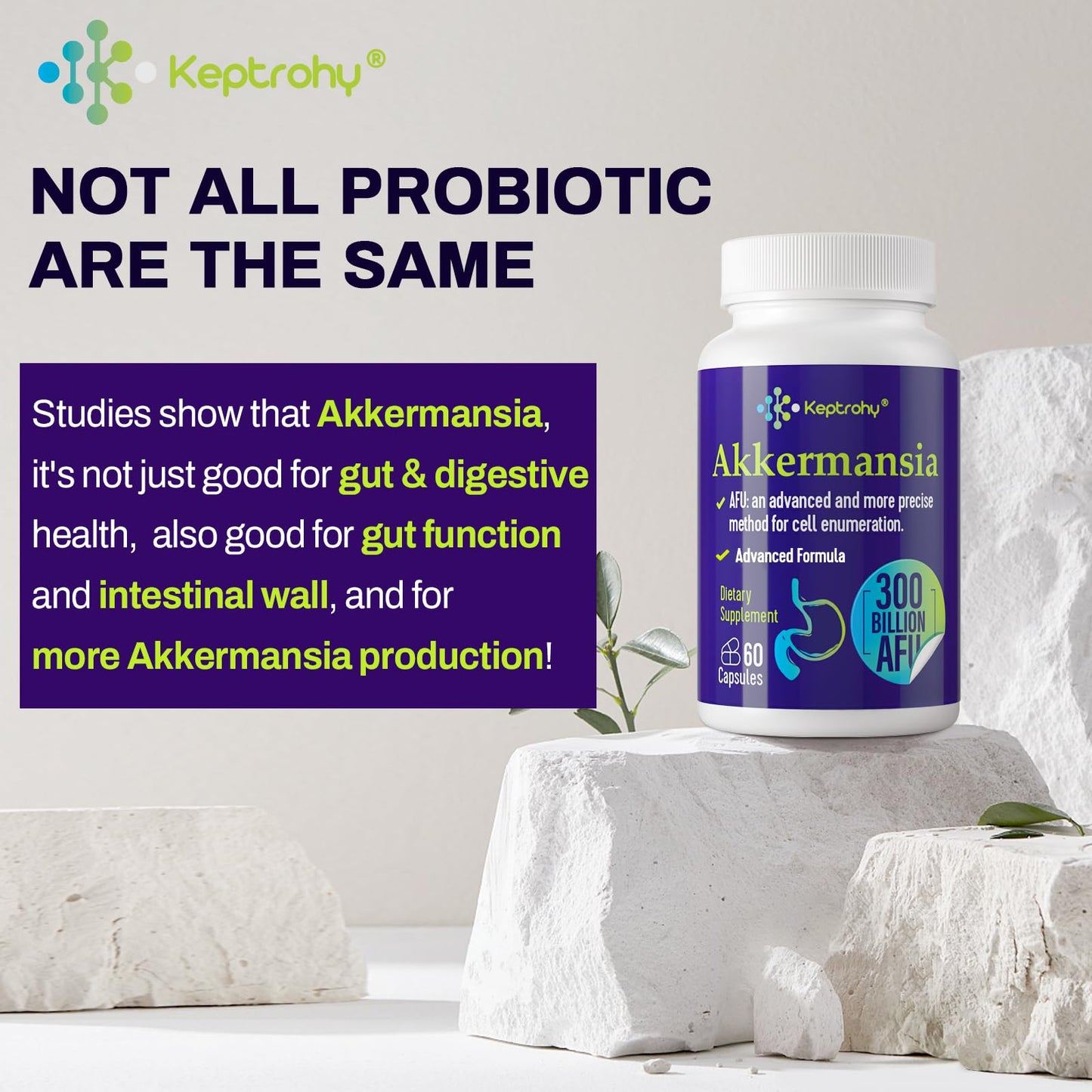 Keptrohy 300 Billion AFU Akkermansia Probiotic for Digestive Support – 60 Capsules