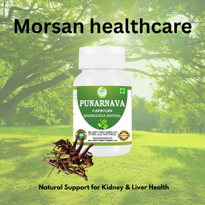 Morsan Healthcare Punarnava Capsules 500mg – 60 Veg Capulses | Kidney & Liver Support