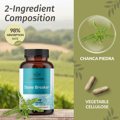 HERBAMAMA Chanca Piedra 1200mg – Kidney Stone Breaker, Gallbladder & Urinary Support (Pack of 2) – Vegan, Non-GMO