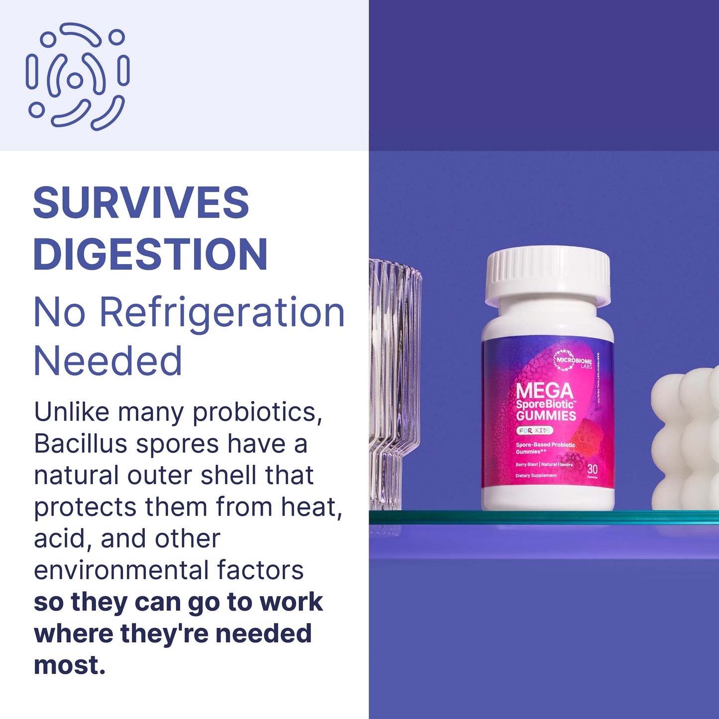 MegaSporeBiotic Kids Probiotic Gummies – Spore-Based Bacillus for Gut Health