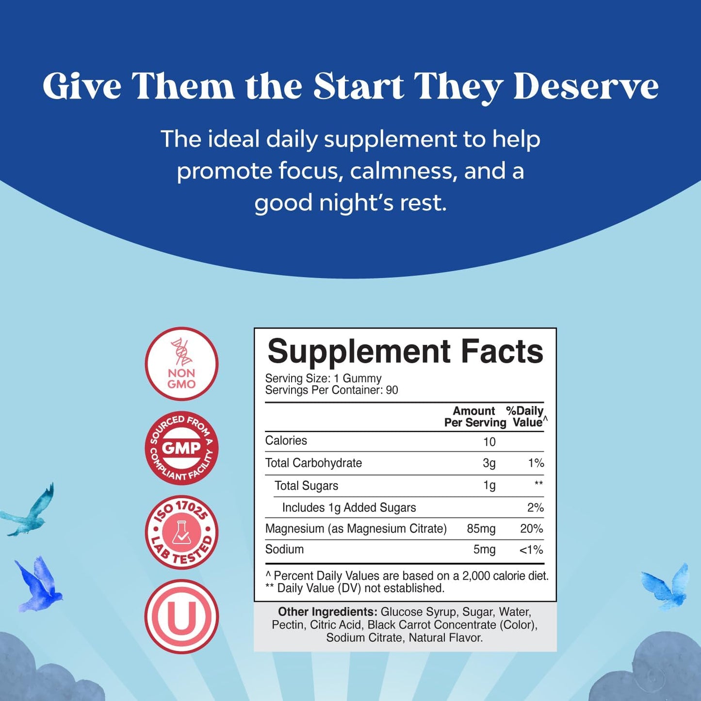Kids Magnesium Gummies – Calm, Raspberry Flavor (Mg Citrate) – 90 Count