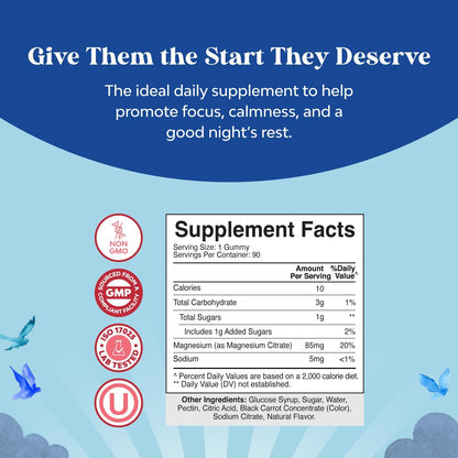 Kids Magnesium Gummies – Calm, Raspberry Flavor (Mg Citrate) – 90 Count