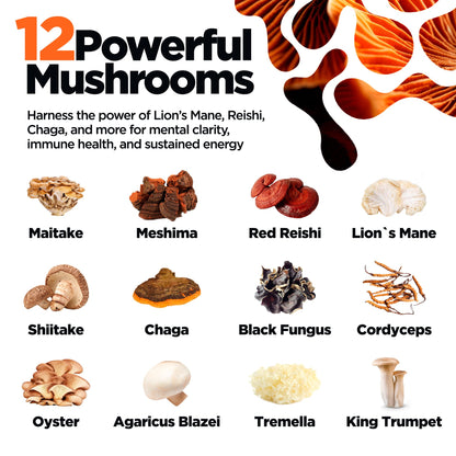 KIKI Green 12 Mushroom Powder 4 oz – Focus, Energy & Immunity (Vegan)