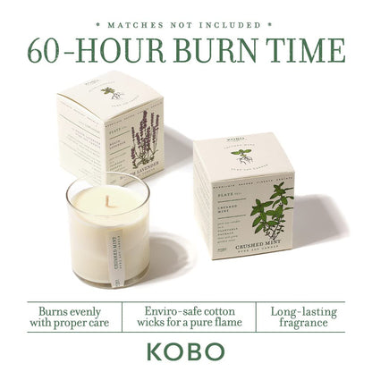 KOBO Wild Tomato Vine Candle | Plantable Box | 9 oz Soy Wax