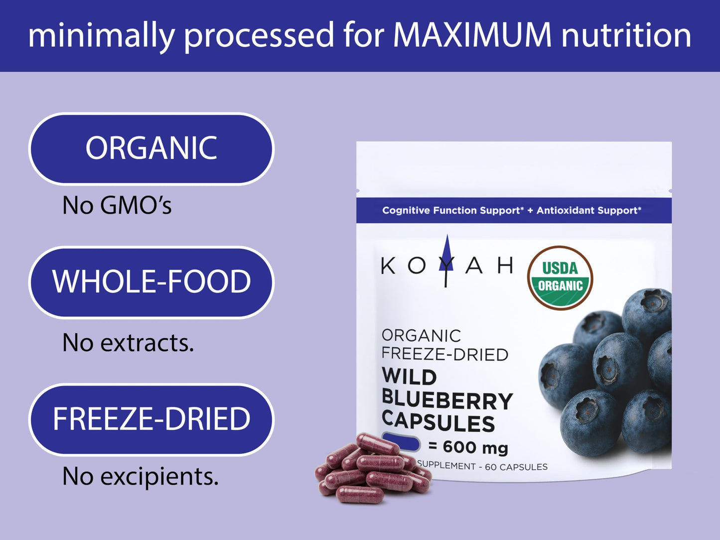 KOYAH Organic Wild Blueberry Capsules – Freeze-Dried Lowbush (Vaccinium angustifolium) – 60 Capsules | Cognitive Support