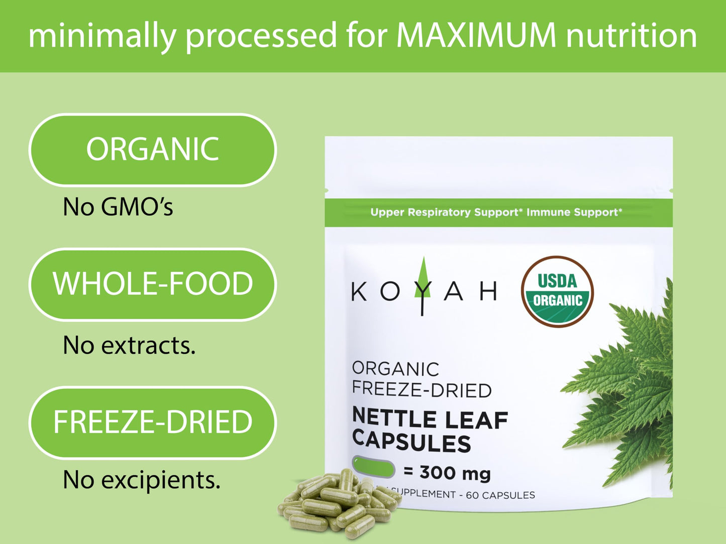 KOYAH Organic Stinging Nettle Leaf Capsules – Freeze-Dried 300 mg (2,400 mg Fresh) – Immune & Respiratory Support – 60 Capsules