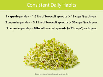 KOYAH Organic Broccoli Sprout Capsules – Freeze-Dried Whole Sprouts, Active Myrosinase & Glucoraphanin, USA Grown, 150 Capsules