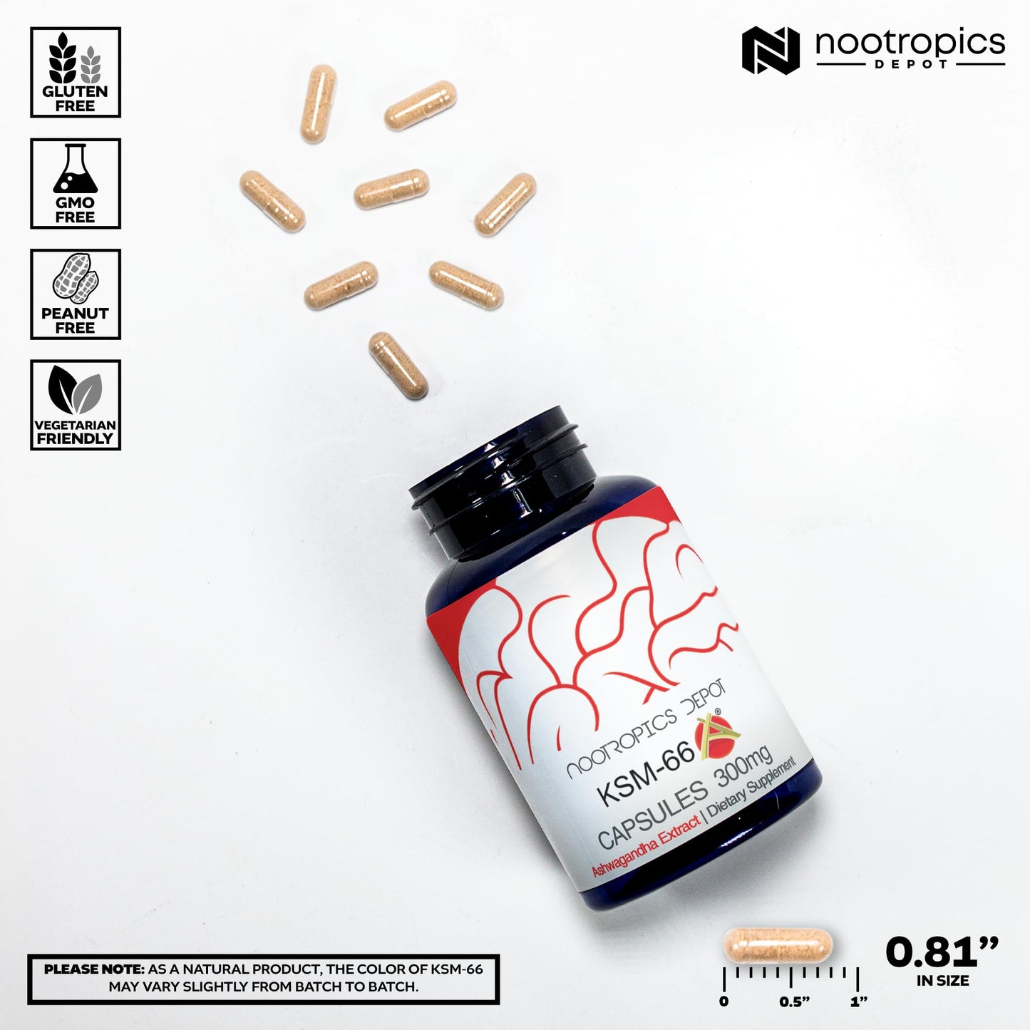 Nootropics Depot KSM-66 Ashwagandha Capsules 300mg – 180 Count | Adaptogen for Stress, Relaxation, Energy
