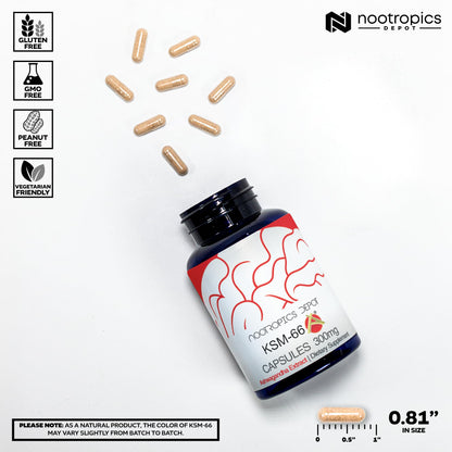 Nootropics Depot KSM-66 Ashwagandha Capsules 300mg – 180 Count | Adaptogen for Stress, Relaxation, Energy