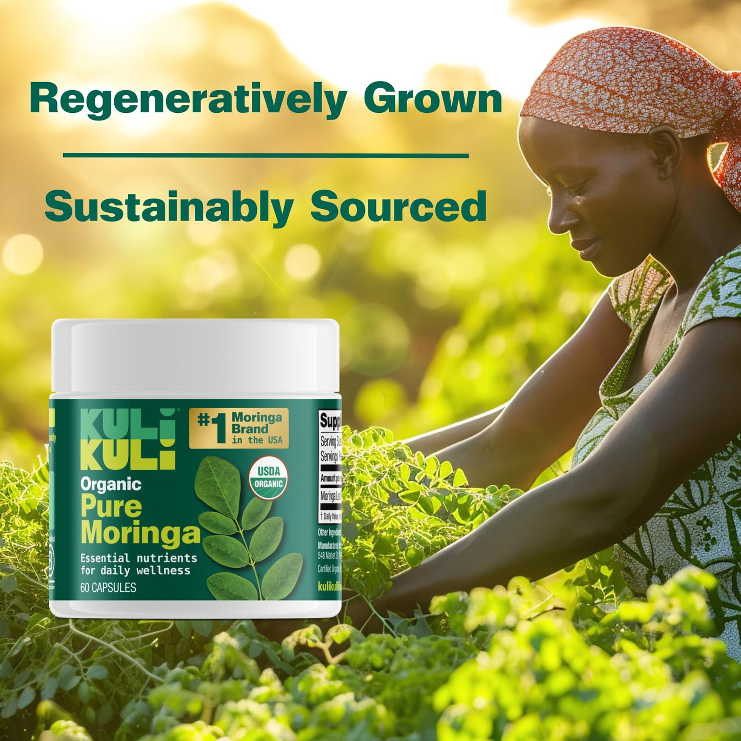 Kuli Kuli Organic Moringa Capsules [60 Count] - Premium Moringa Leaf Powder Capsules
